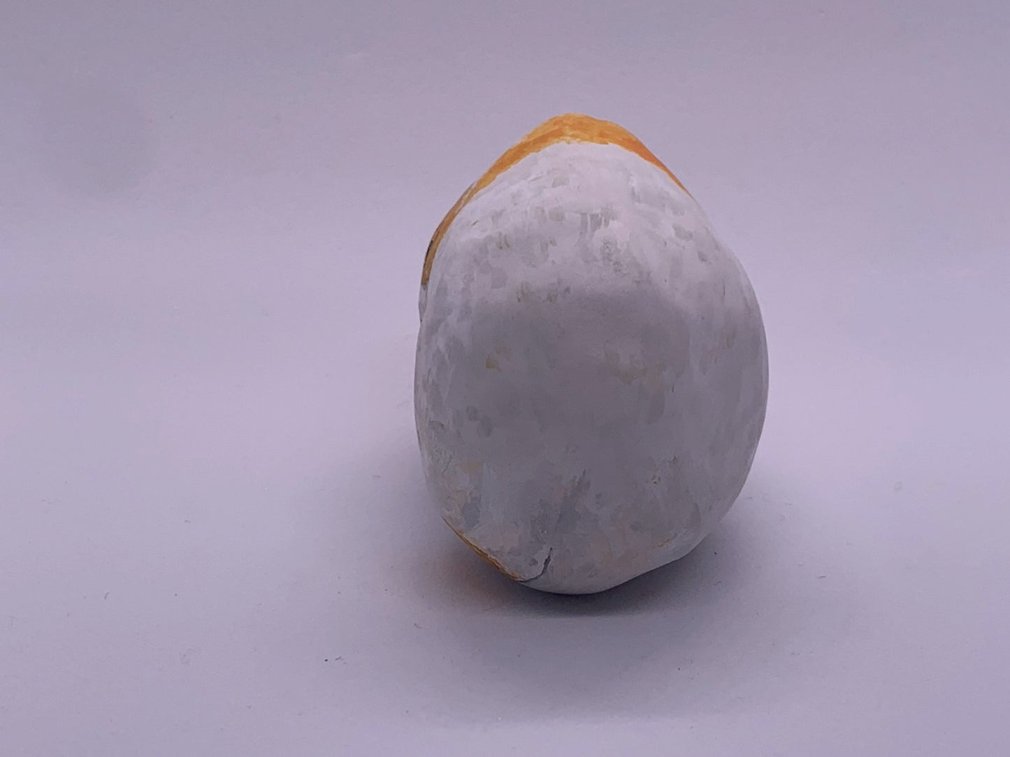 張り子の猫(ソクラテス)