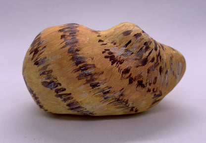 張り子の猫（茶トラ）