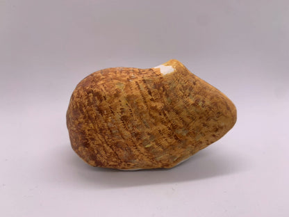 張り子の猫（ご注文の品）