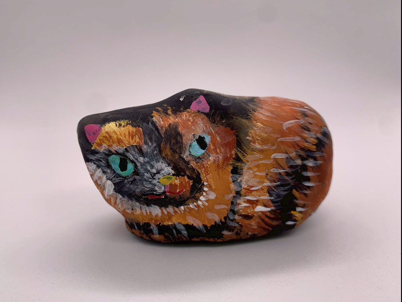 近所の野良猫