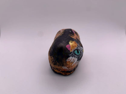 近所の野良猫