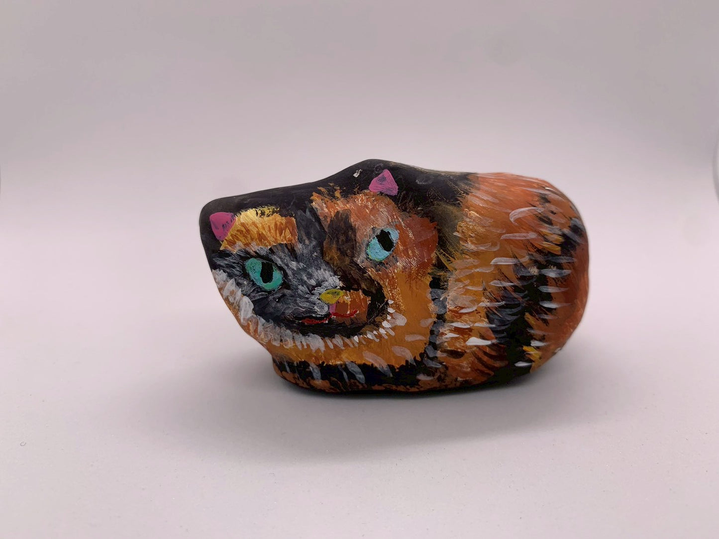 近所の野良猫
